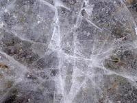 Sternförmige Risse in der Eisfläche